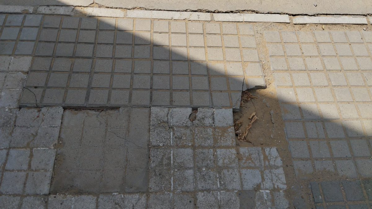 Ampa_Abedul's tweet photo. @daddy_yankee @jlsanzalcalde @distritonorte @MareaVerde_SE NO, no es un edificio abandonado!!! este es el estado en el que se encuentra el colegio ceip Ignacio Sánchez mejias ,gracias a la empresa fantasma de mantenimiento del @Ayto_Sevilla la cual se lava las manos https://t.co/iOSyJZYKy1