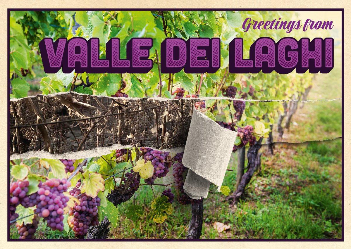 Climate Impetus tweet media