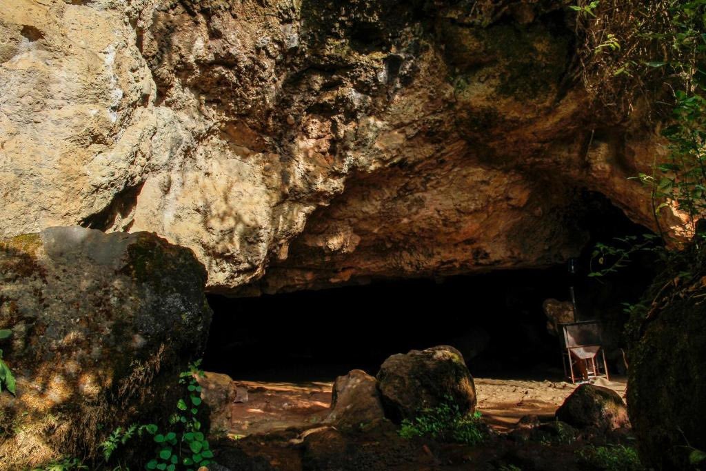 Mise Cave Lodge tweet media