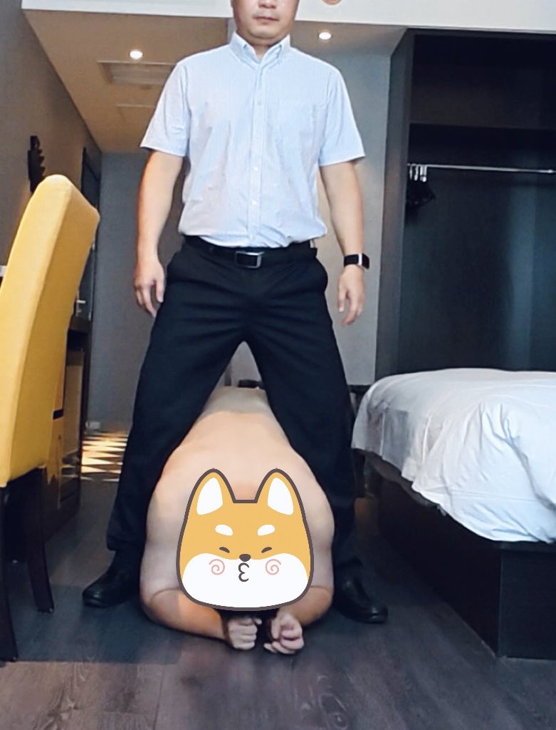 微胖的春天 tweet media