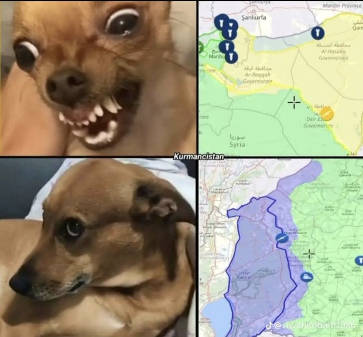 When it comes to the Kurds, Colani:
When it comes to Israel, Colani: