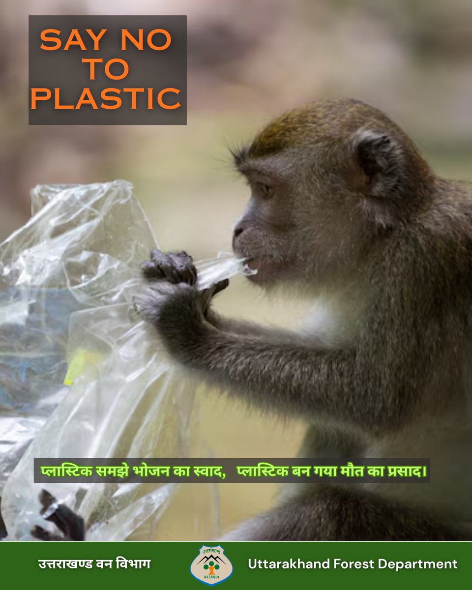 Uttarakhand Forest Department tweet media