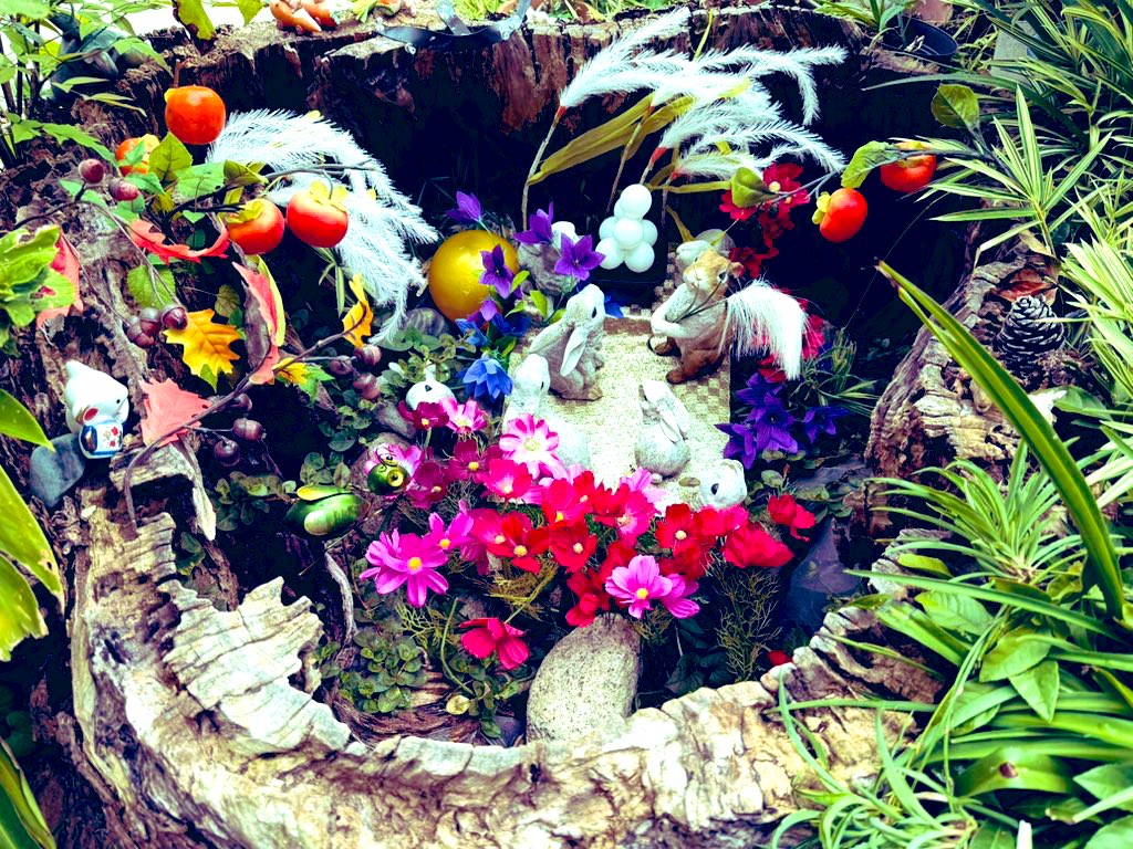 ❁⃘*.゜SAQINA ミュー❁⃘*.゜ Sakura Miyawaki LE SSERAFIM (@39izone) • Instagram photos