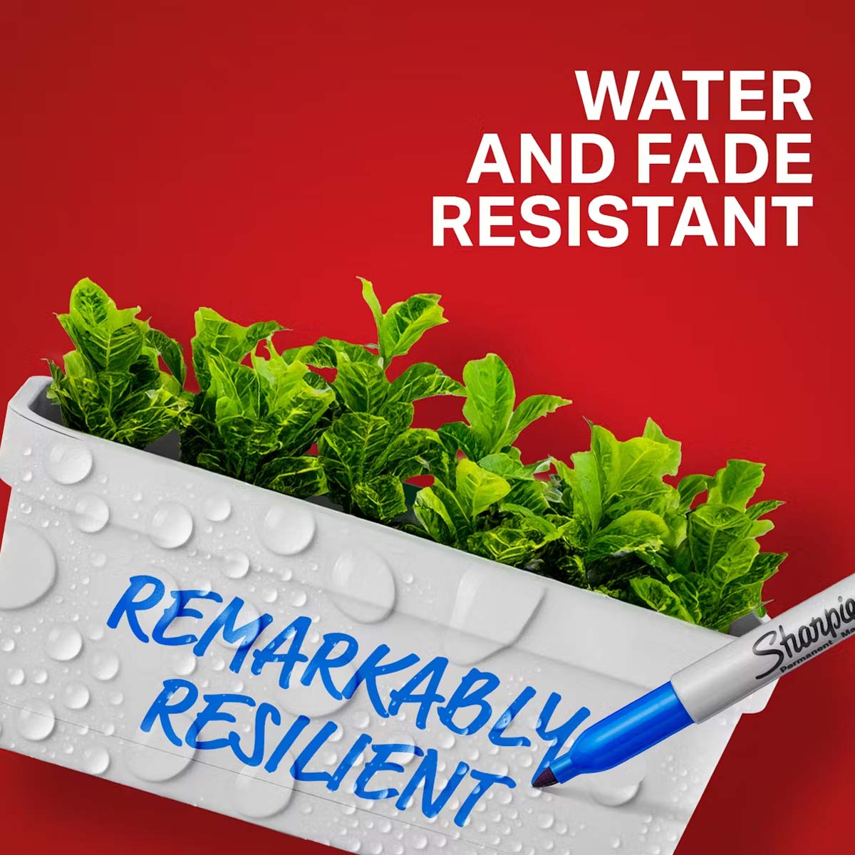 If it moves, label it. If it doesn’t, Sharpie it. From classic pens to bold markers, we stock the full Sharpie range. Contact us today. #ChariotOffice