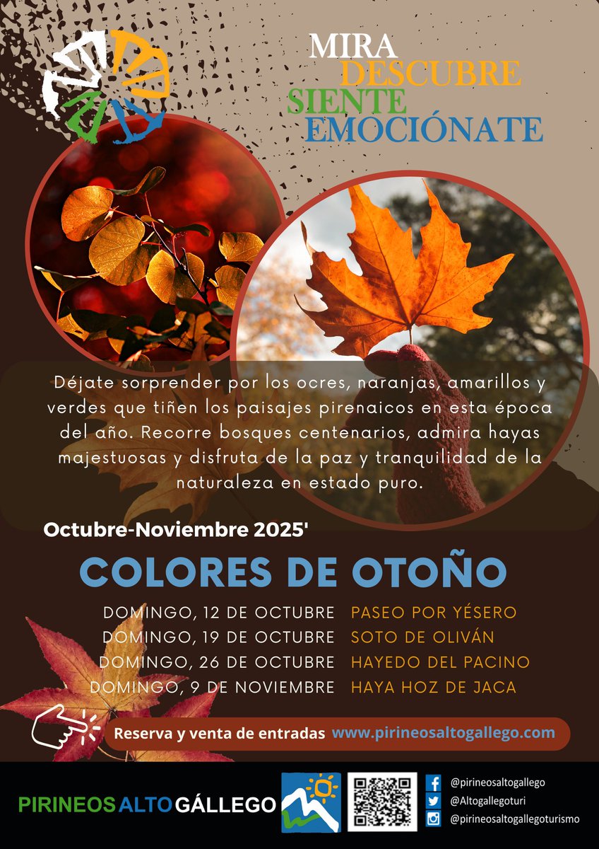 🍂✨ El 12 de octubre regresa el programa Colores de Otoño del Alto Gállego. En este caso, la comarca <a href="/Altogallegoturi/">PirineosAltoGállego</a> nos invita a un paseo guiado por Yésero. 
Reservas en: f.mtr.cool/dlytohbvcb

📅12 de octubre
📌Punto de encuentro: Plaza del Ayuntamiento 10h
💶 10€