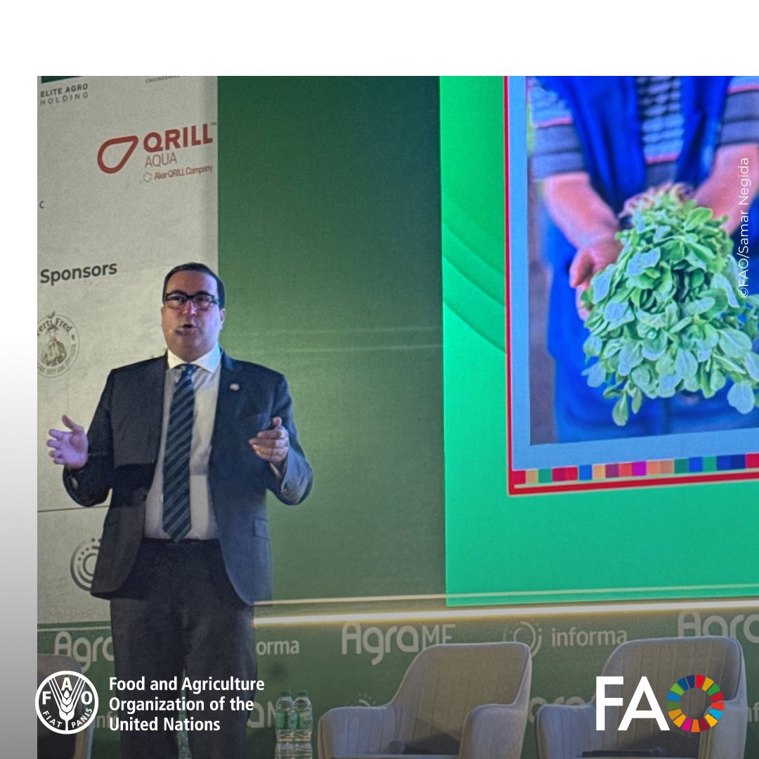 🤝Securing MENA’s food future requires:

• Stable policies
. Climate-resilient agriculture
• Regional cooperation
.Capacity building 


At AgraME 2025, Ahmad Mukhtar, FAO Rep a.i. to the UAE, showcased FAO’s roadmap for resilient, sustainable agrifood systems.
