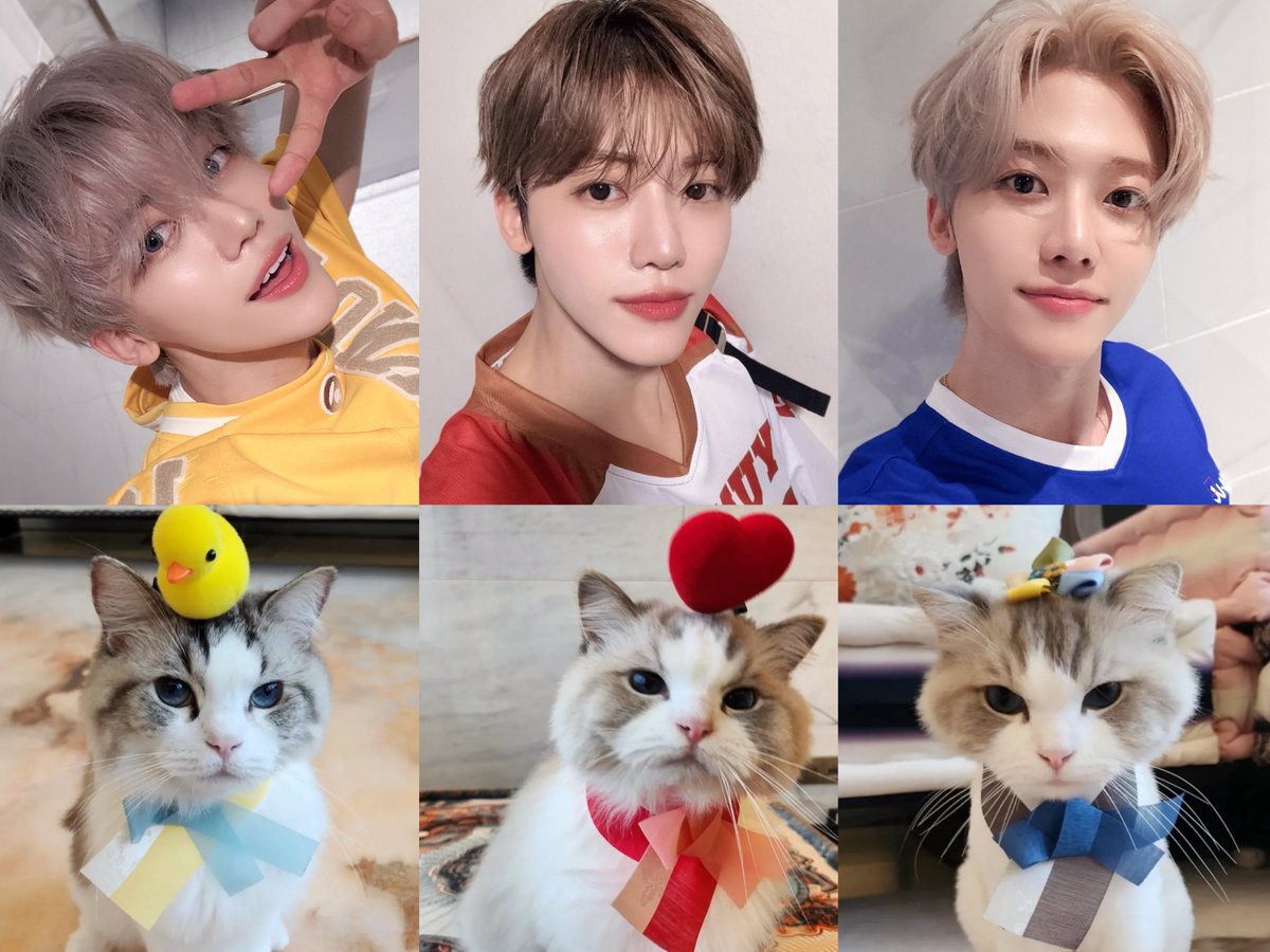 ᴋᴍ.✿ tweet media