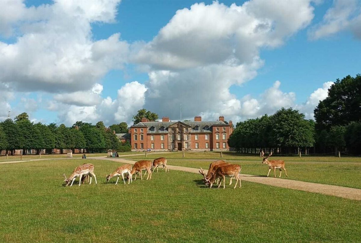 ConSealants's tweet image. An applicator spent the morning at the beautiful Dunham Massey National Trust, sealing hard-standing joint sealants. 

#dunhammassey #sealant #sealantapplication