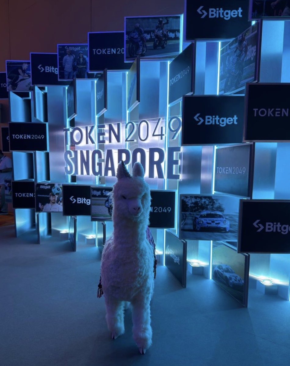 Stabo2025's tweet photo. Less hype, more builders this year at TOKEN2049 .
Real talk, real use cases — stablecoins are finally stepping into the spotlight. 
At https://t.co/pTikgA9Chm, we are so happy to be part of the events, and looking forward to the next one! 🚀
#TOKEN2049 #Stabo #Stablecoins #Web3 https://t.co/Lpu8q5OeDO