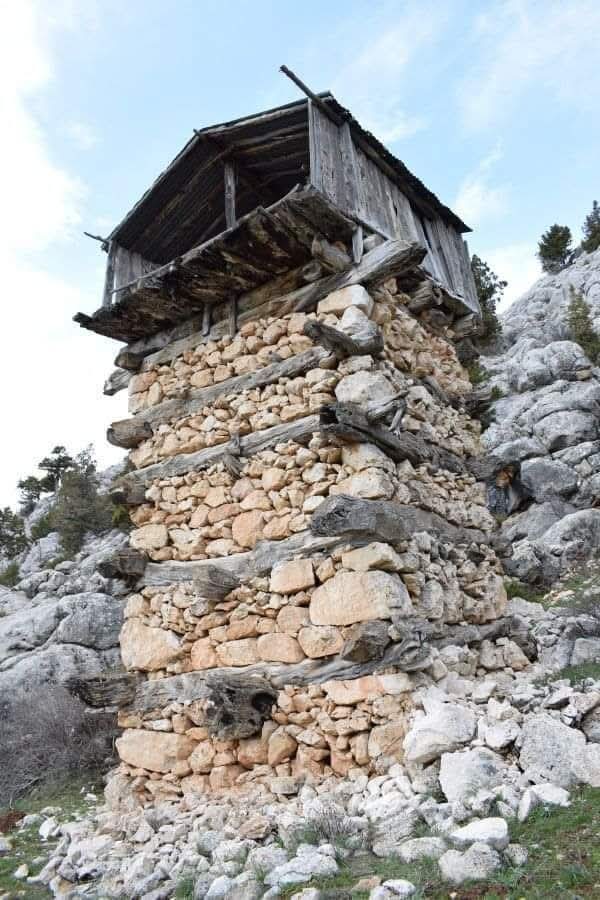 Dehrin bu hâyuhûyuna mecbûl-i handeyiz