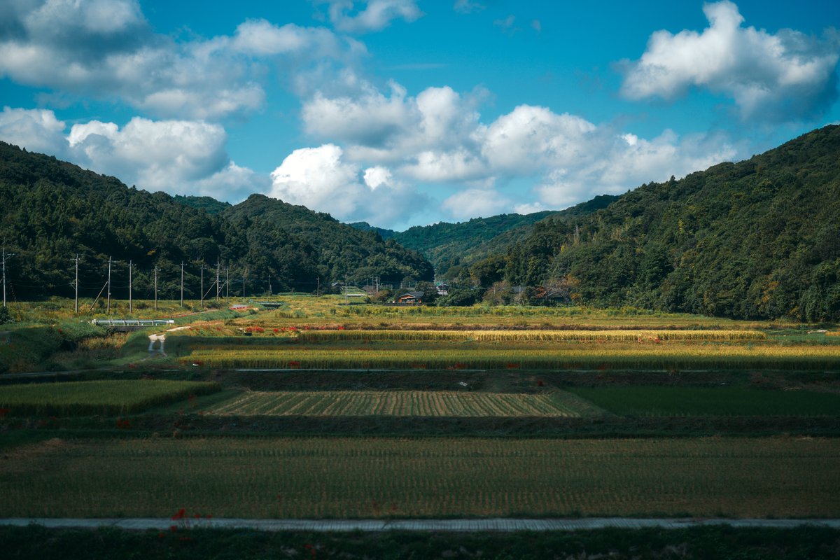 真道 健志 / Shindo Takeshi tweet media