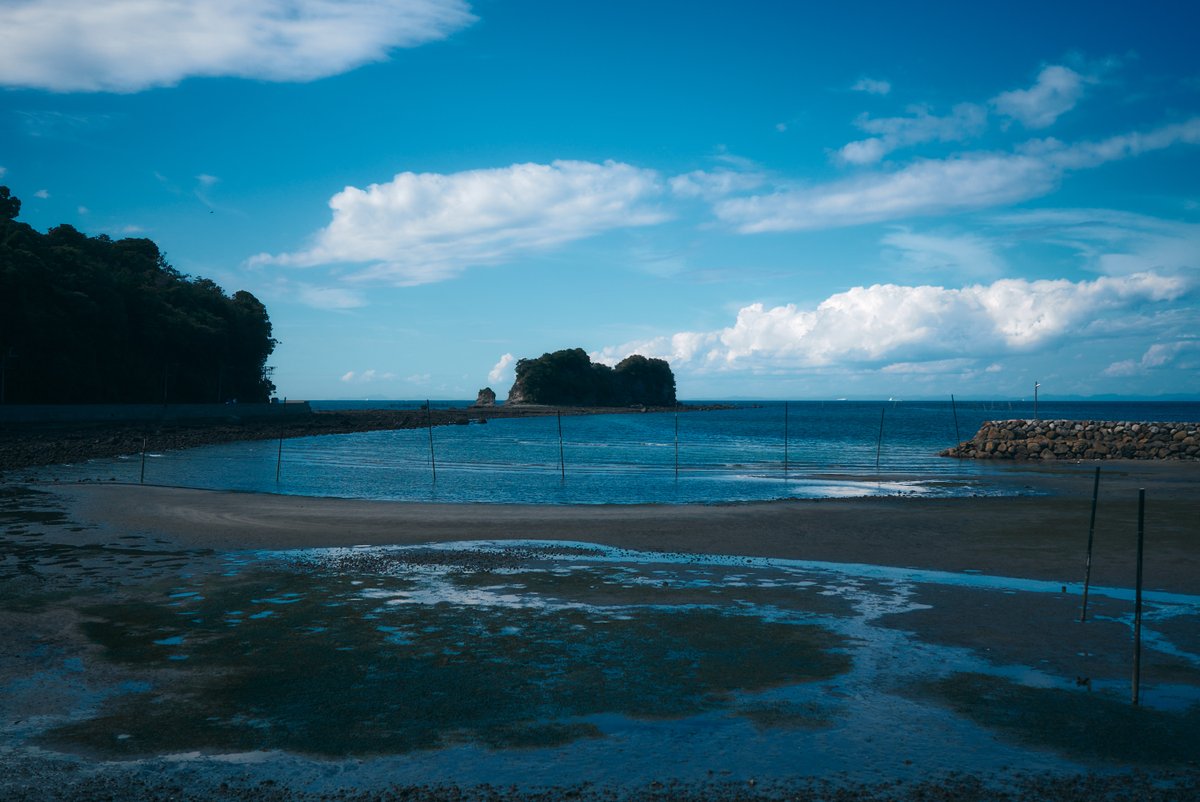 真道 健志 / Shindo Takeshi tweet media