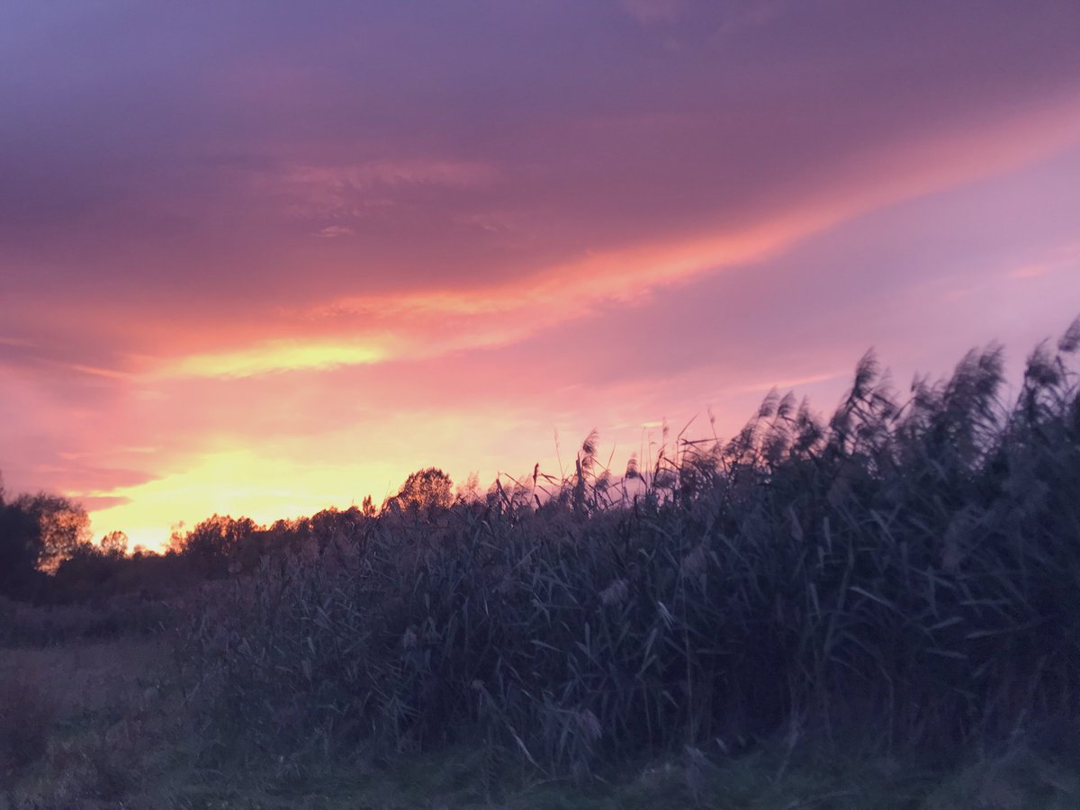 .
Dort, wo die Sonne 
über dem Berg mir sachte
leuchtet
und ein kühler Wind in Wolken
fährt 
weiß und blau
dort, wo Klänge still  
zerbrechen 
hallen ihre Schatten 
in meinem Herzen nach. 

.