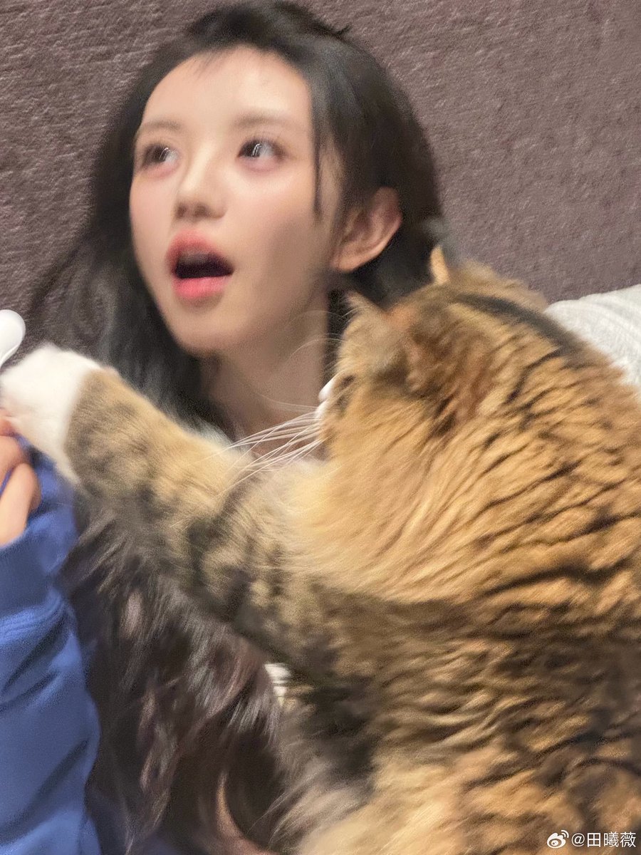 All about TIAN XIWEI ᴸᵁⱽᵁ tweet media