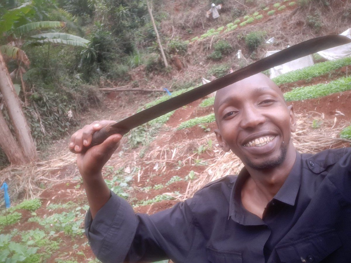 0Mainakeffa's tweet image. Following @amerix gives you the real meaning of freedom and being better,and am experiencing it💯