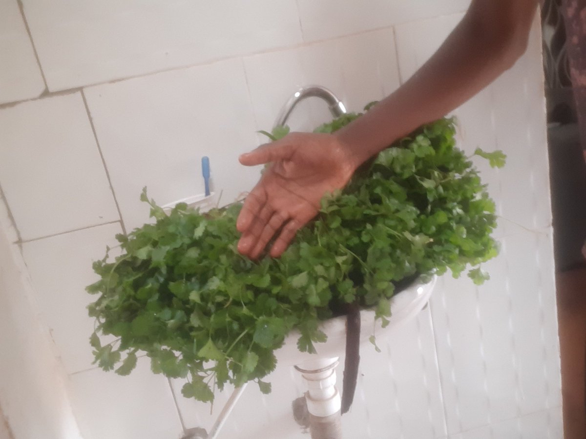 0Mainakeffa's tweet image. Following @amerix gives you the real meaning of freedom and being better,and am experiencing it💯