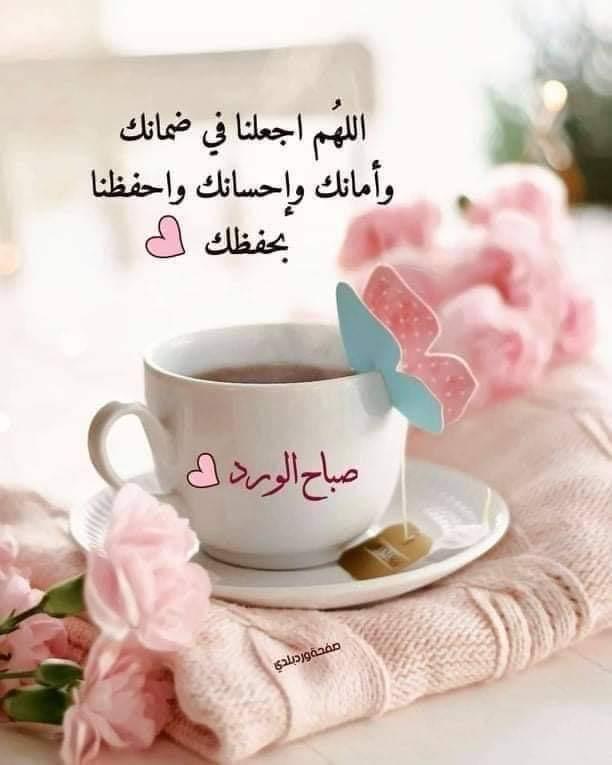 SaidAlSarraj's tweet photo. @alrooh88_alrooh https://t.co/WeptGJVnU0