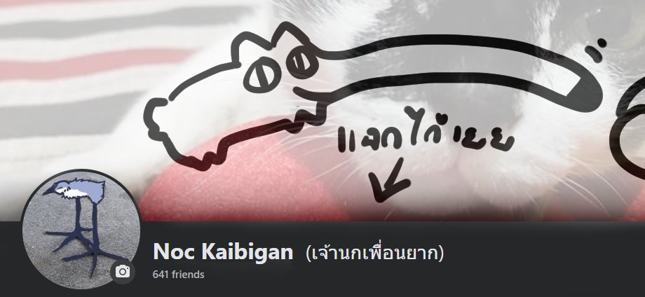 NVMA_Mccall(ป่วย) tweet media