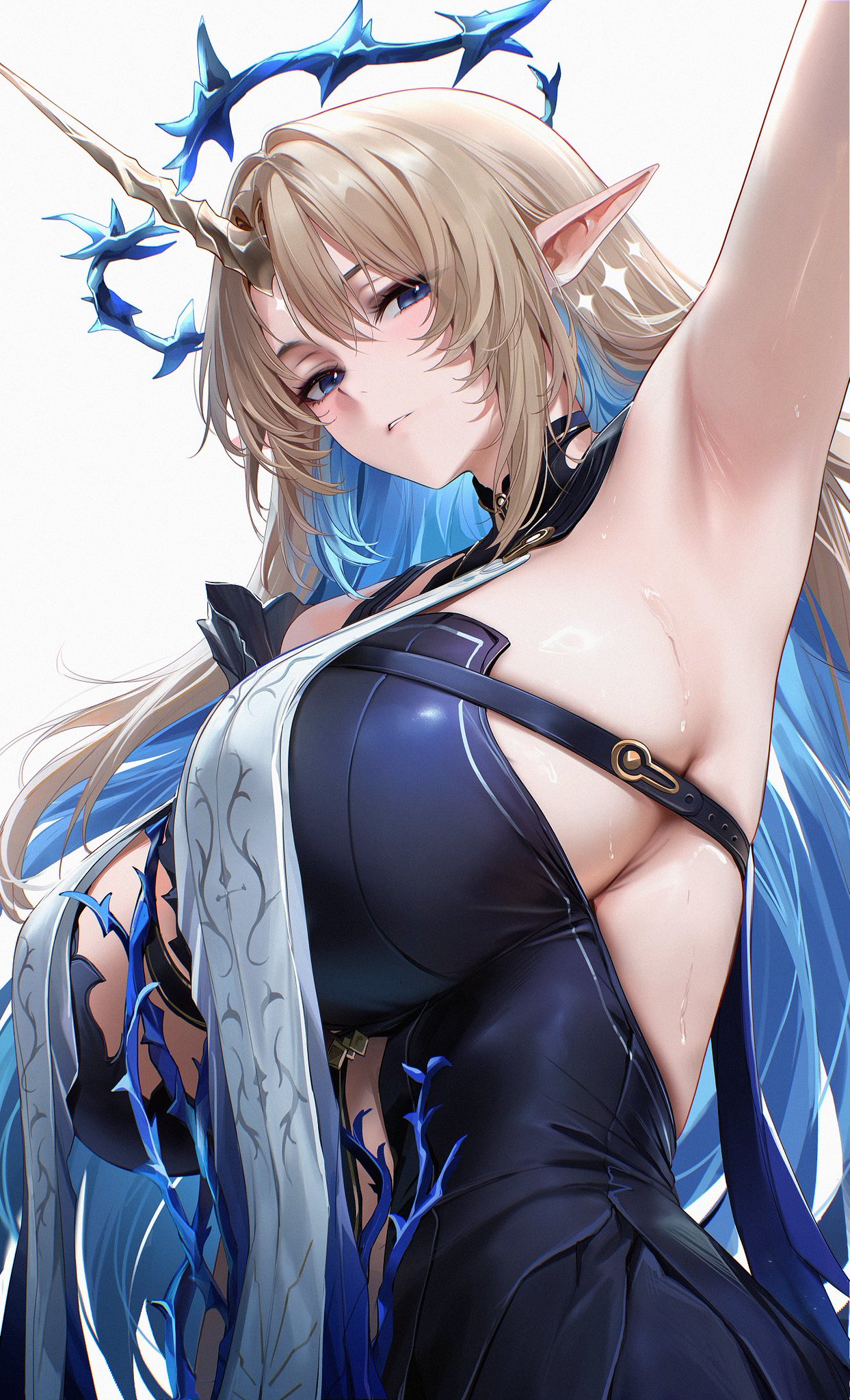 投稿の画像