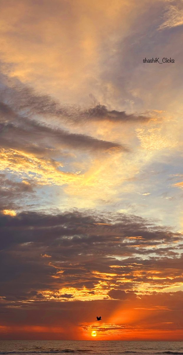 "A lone bird glides across the sunset sky, where the sea meets the fading light—freedom painted in motion"                

(View in full screen) #photography #nature #sunset #sea