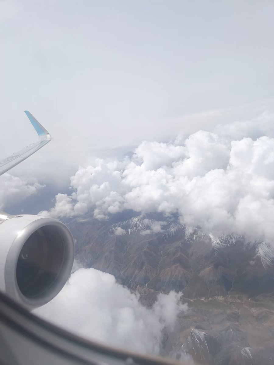 New Project tweet media