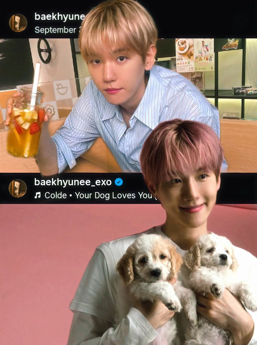 this new insta update is crazy