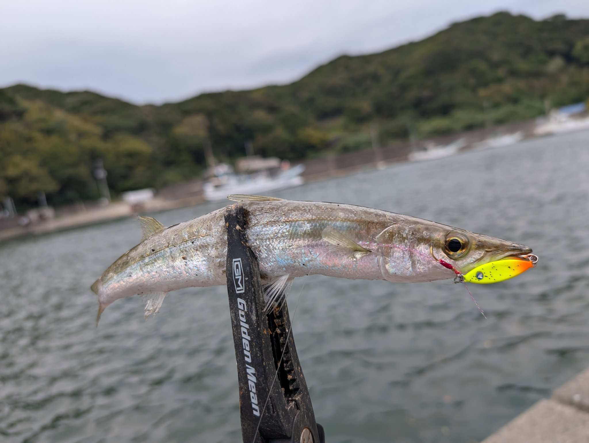 竿兄弟 (@rod_brothers) / X