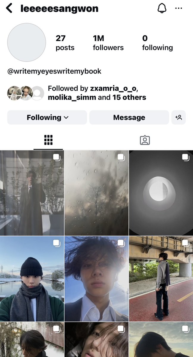 Makarita tweet media