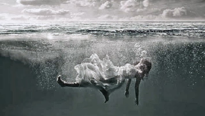 🥔 taytor tweet media