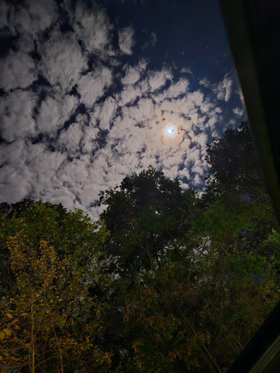 PaintingsPen's tweet photo. Capturing the night’s magic with my phone 🌌📸 #LateNightVibes https://t.co/Ky5jZ4P0NH