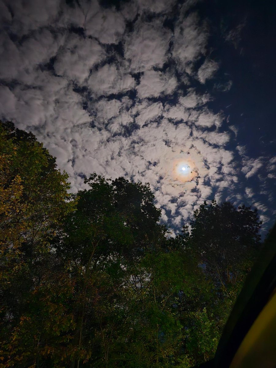 PaintingsPen's tweet photo. Capturing the night’s magic with my phone 🌌📸 #LateNightVibes https://t.co/Ky5jZ4P0NH