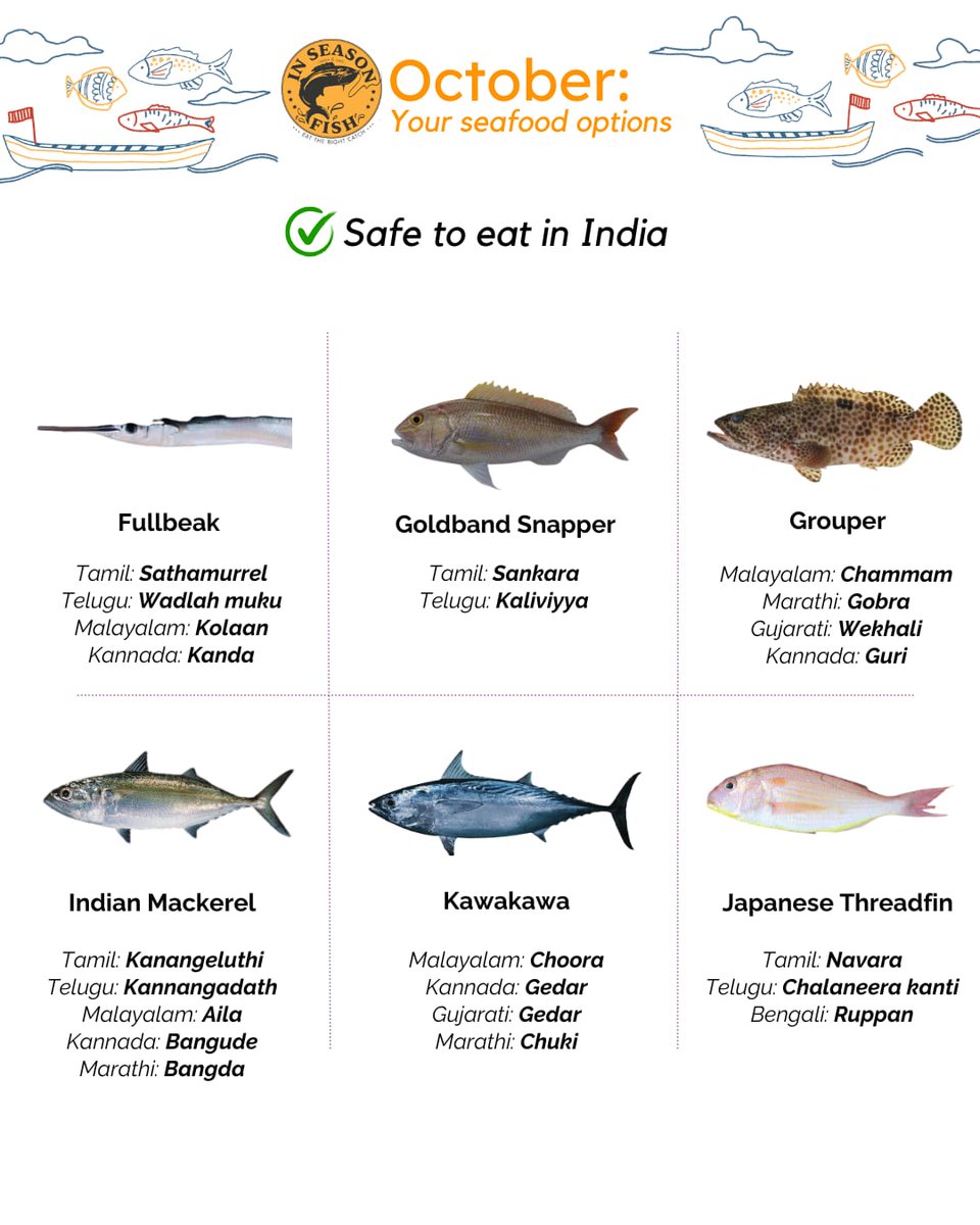 InSeason Fish tweet media