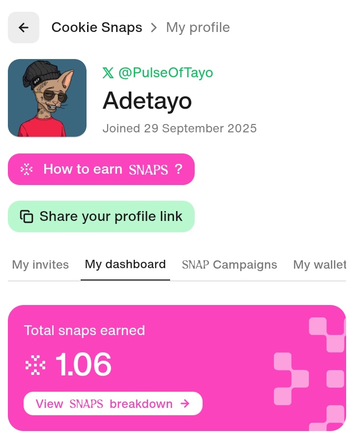 PulseOfTayo's tweet image. These are some the project I am currently yapping about on cookie, what about you?

@RaylsLabs 
@tenprotocol 
@Almanak__ 
@LayerBankFi