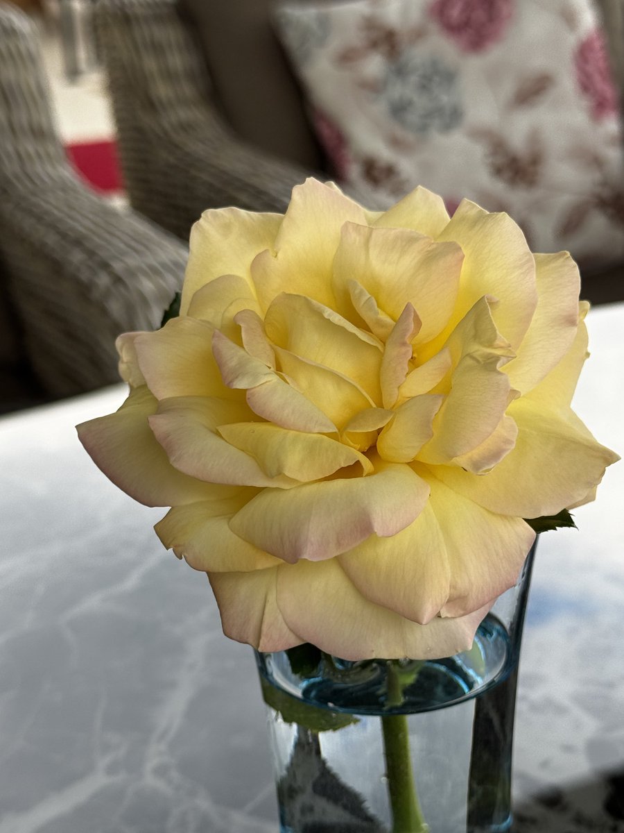 İyi insanların varlığı hep böyle olsun inşallah 
Hiç solmasın gönüllerindeki sevgiler şefkatler vefalar 
Temennilerim ile mutlu huzurlu sağlıklı günler 🇹🇷