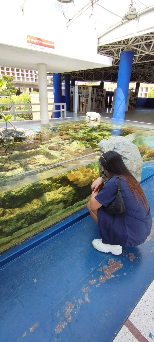 สังคมสมัยนี้ไม่ต้องไปตัดใคร
ออกจากชีวิตหรอก อยู่เงียบๆก็พอ
ถ้าเราไม่มีผลประโยชน์กับมัน
เดี๋ยวมันก็ตัดเราออกไปจาก
ชีวิตเองแหล่ะ.....🫰🫰