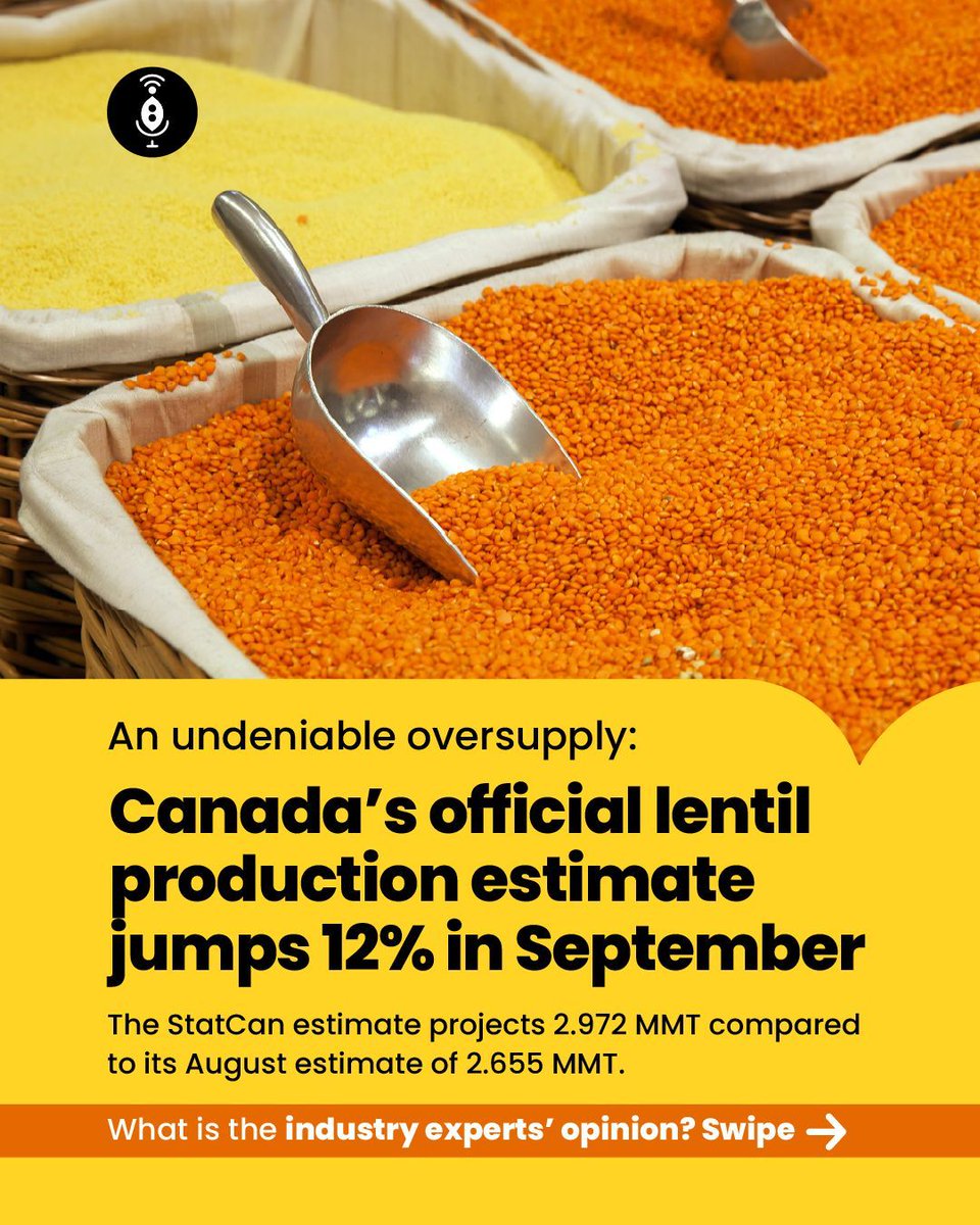 GlobalPulsesGPC's tweet image. September brings a big jump in StatCan’s lentil crop estimate – but what will this mean in such a strong year in global supplies? Industry experts pick apart the latest news on Canada’s extra-large crop.

Read more at: pulsepod.globalpulses.com/pod-feed/post/…

#GPC #Pulses #CanadianLentils
