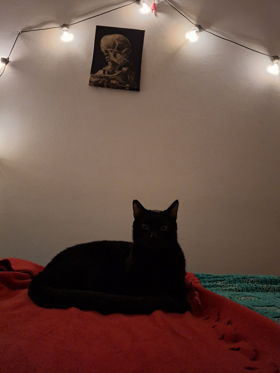 Flack Blag (@echo_lawrence_) on Twitter photo 