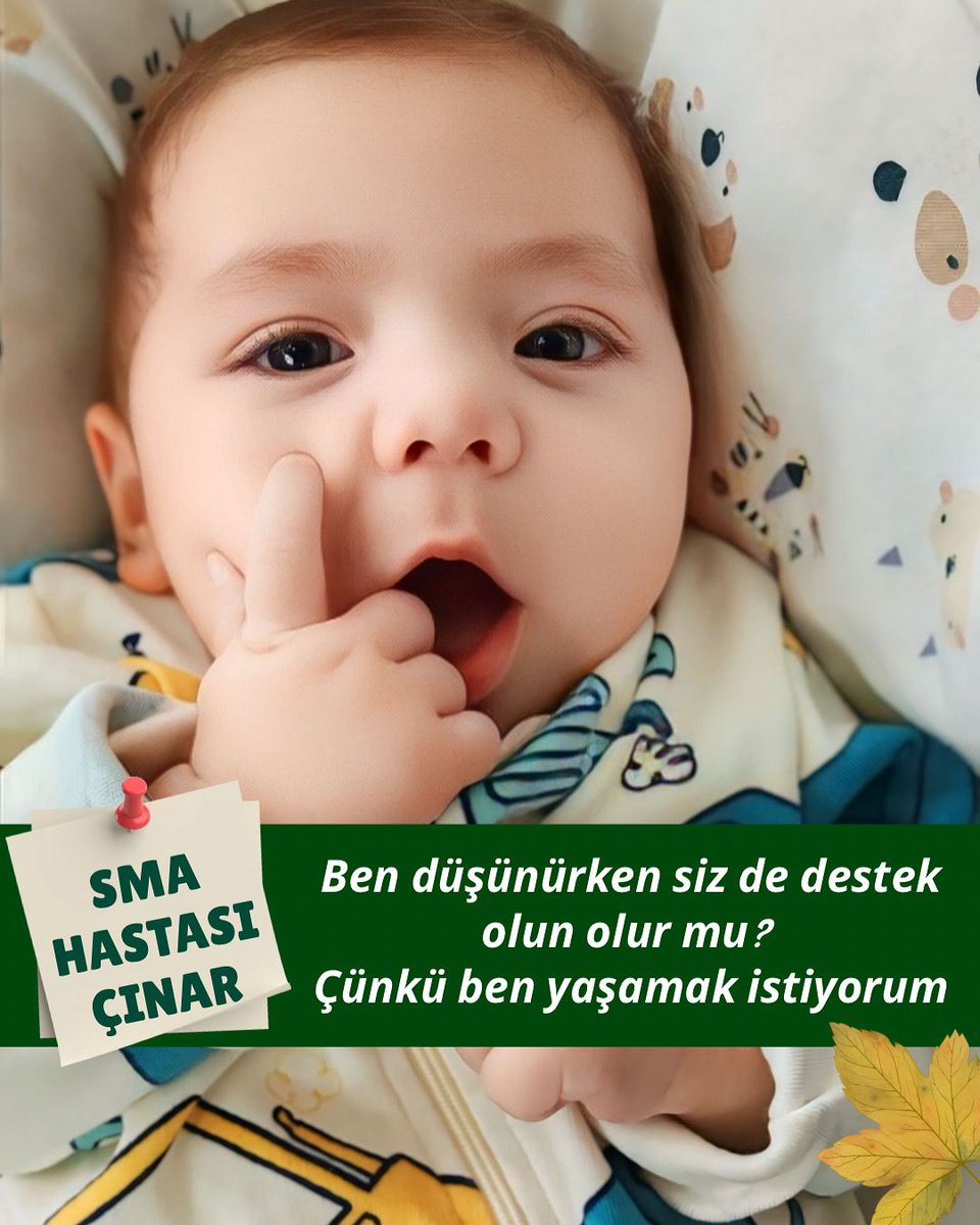 smacinarbebek's tweet image. Ben düşünürken sen de destek ol olur mu? 
Çünkü ben sadece yaşamak istiyorum…👇 taplink.cc

#salı  Mansur #Canlı
#HüseyinKocabıyık Yusuf Tekin #SONDAKİKA #TamerKaradağlı
#BitmeyenSoykırımGazze 
#PolislerSoruyor #Halep  #Türkiye  Alperen Şengün
$UNICEF Ürdün Ankara