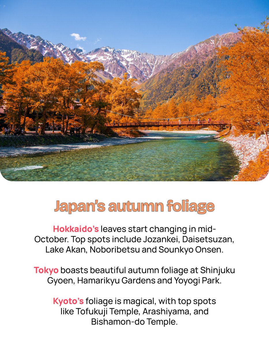japanbyfood's tweet photo. Autumn is one of the most magical seasons to experience Japan. 🍁 https://t.co/QrSrFMMDcP

From Kyoto to Tokyo, autumn means crisp air, colorful leaves, and seasonal flavors you can only enjoy this time of year 🍂

Check out our guide to fall in Japan! https://t.co/Dk13ybJU7j