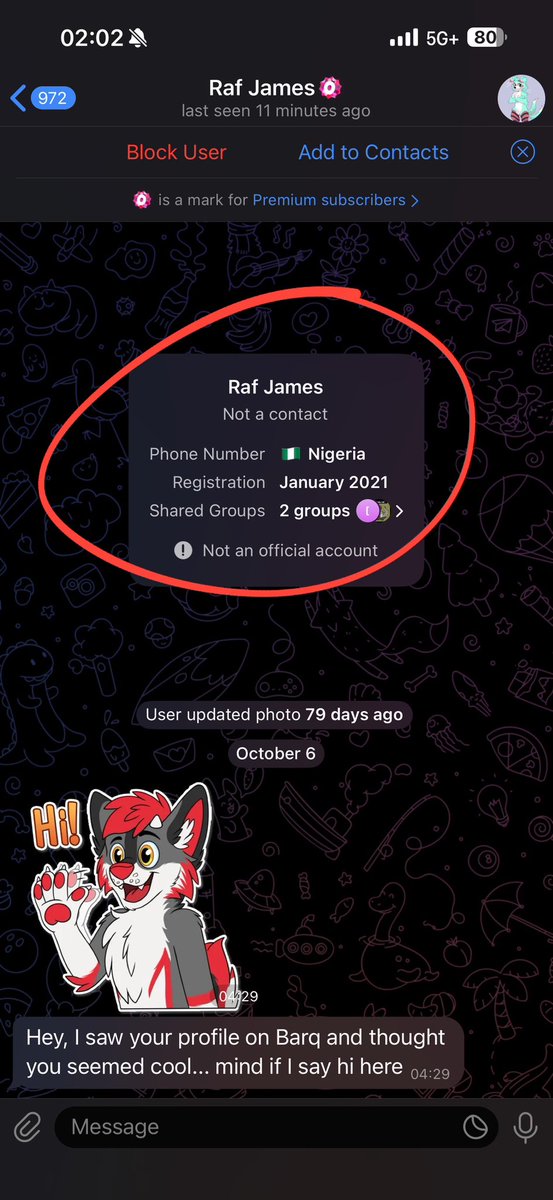 dirdwolf @ lvfc tweet media