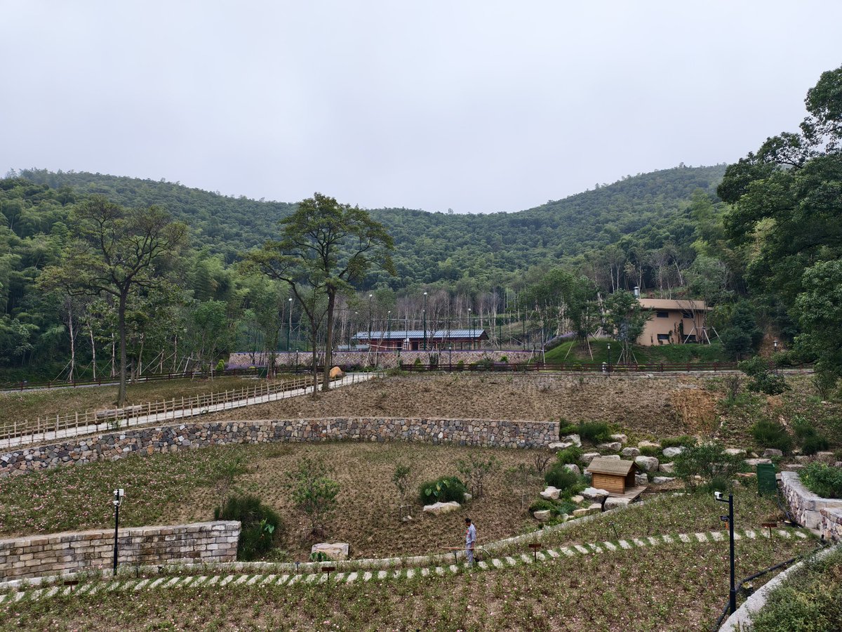 snpub156928's tweet image. 乡野