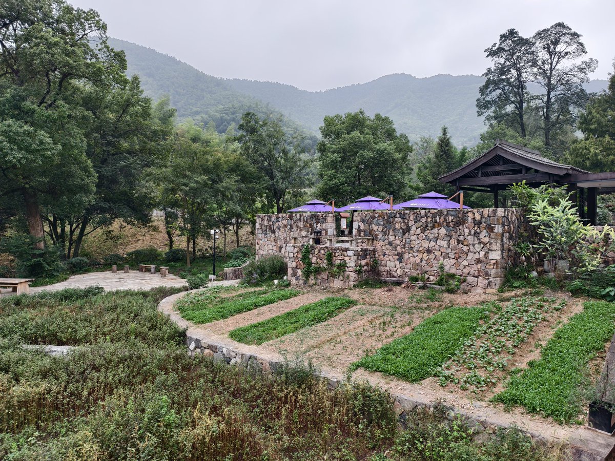 snpub156928's tweet image. 乡野