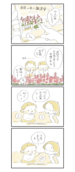 時代とサルビア 