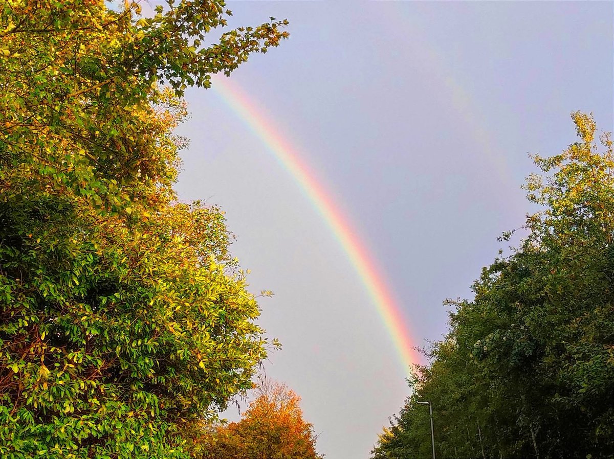 Spotted an intensely vivid rainbow during my travels yesterday 🌈