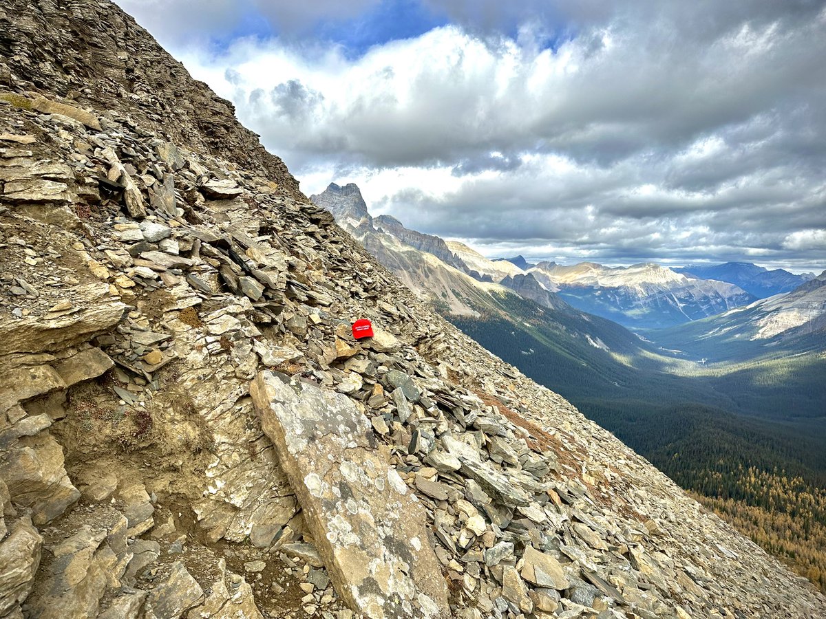 SmartAsiaFriend's tweet image. An enjoyable Fall afternoon with Maga hat. 

#trump #maga #magahat