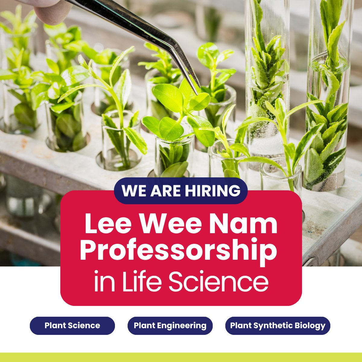 NTU School of Biological Sciences tweet media