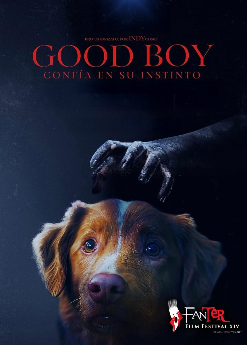 Fanter Film Festival tweet media