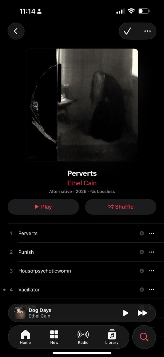 this is still the album of the year and i don’t give a  flying fuck abt what y’all have to say