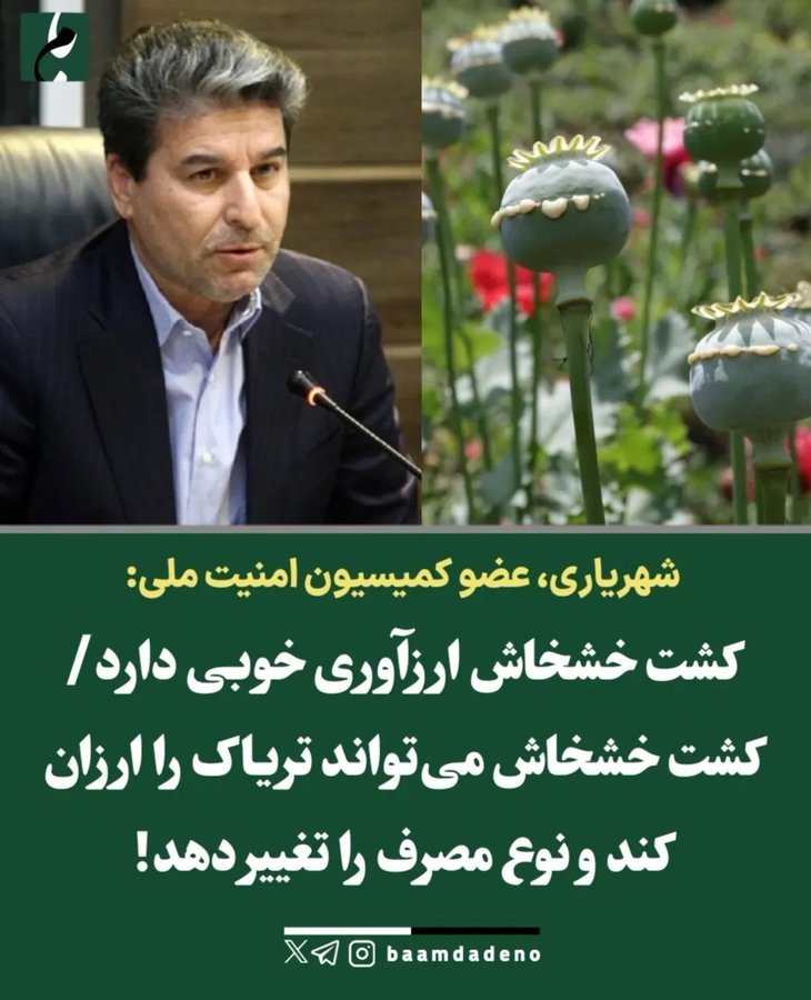 ghafoor_ALabd's tweet image. مراحل نابودی یک ملت
۱-بچه نیارید
۲-کارگری نکنید، افغانی میاریم
۳-شما اصلا اهل کار نیستید، افغانی میاریم
۴-چرا بچه دار نمیشید؟ داریم منقرض میشیم، افغانی میاریم
۵-تریاک میکاریم براتون بکشید تا منقرض شید، افغانی میاریم
۶-افغانی خوبه👈👌، افغانی میاریم🤝
#اخراج_افغانی_مطالبه_ملی