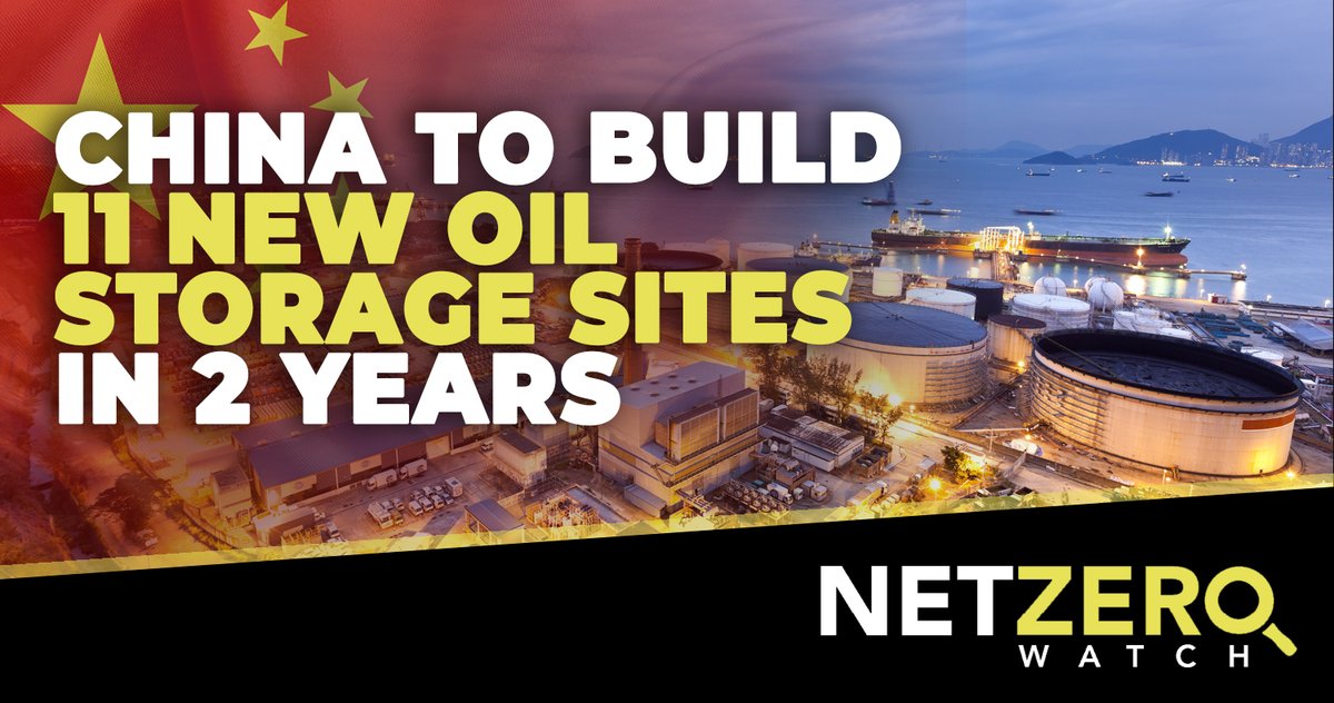 Net Zero Watch tweet media